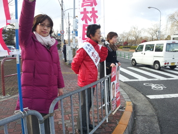 今朝の倉林明子参議院京都選挙区予定候補