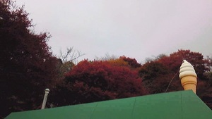比叡山の紅葉