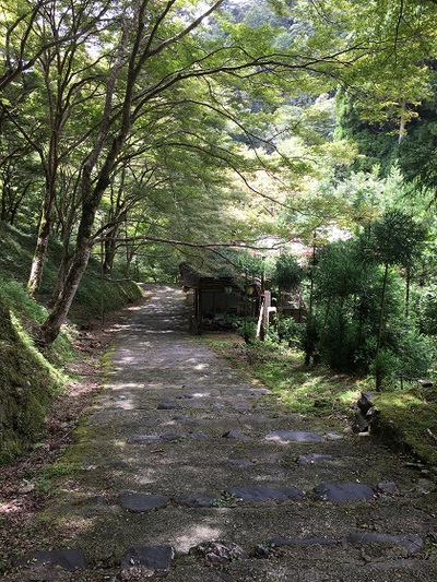 京都の北西、高雄・槇尾・栂尾の三尾めぐりに行ってきました♪