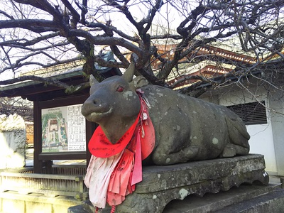 12月25日（日）京都さんぽ「 終い天神と西陣の路地裏めぐり 」のご案内