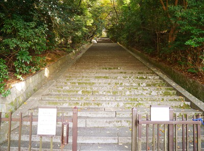 豊国神社　石段