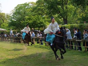 5月1日　上賀茂神社「競馬会足汰式」