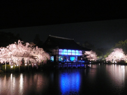 平安神宮　紅枝垂コンサート2008