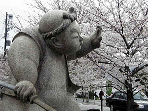 岡崎の桜　と　五条の弁慶さん