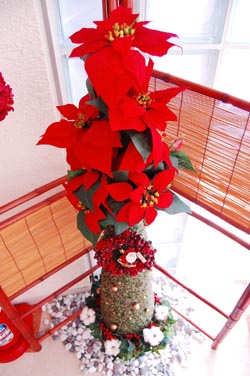 クリスマスな一日、そして・・・
