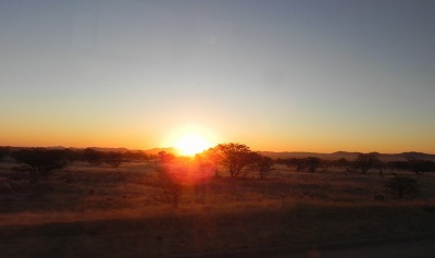 ナミビア旅行5日間（3日目）　25万頭！オットセイのコロニー