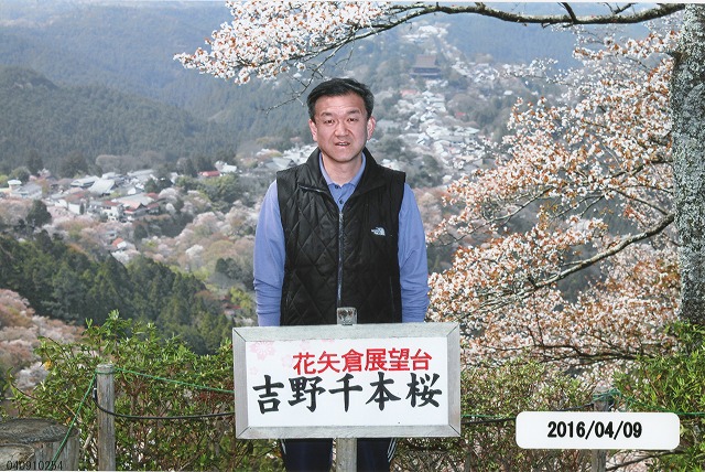 吉野の桜