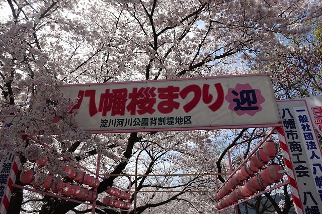 背割堤