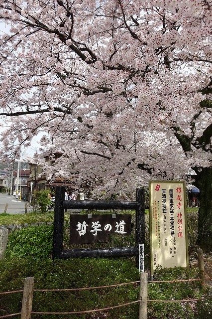 哲学の道