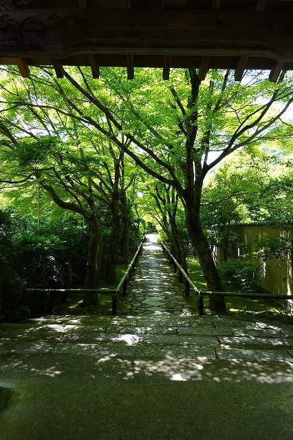 光悦寺