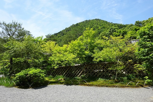 光悦寺
