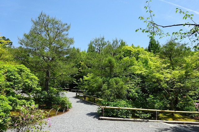 光悦寺