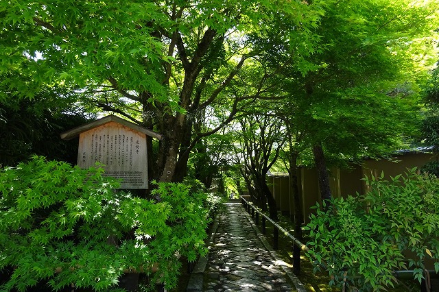 光悦寺