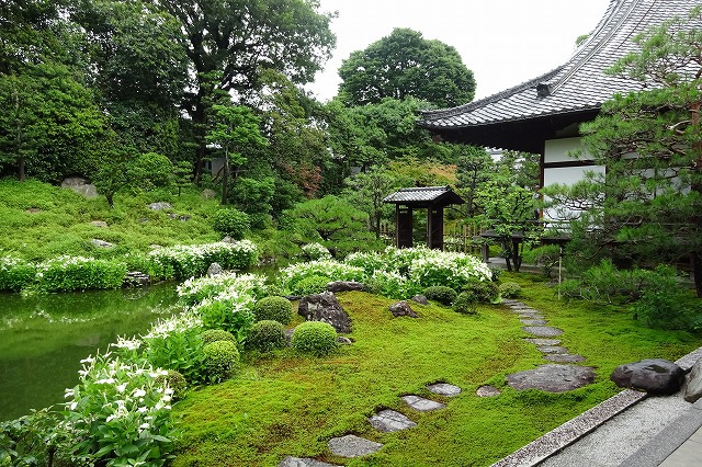 半夏生