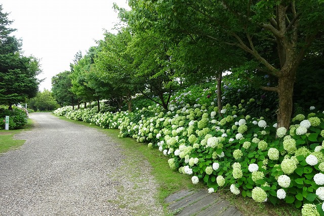 明石海峡公園