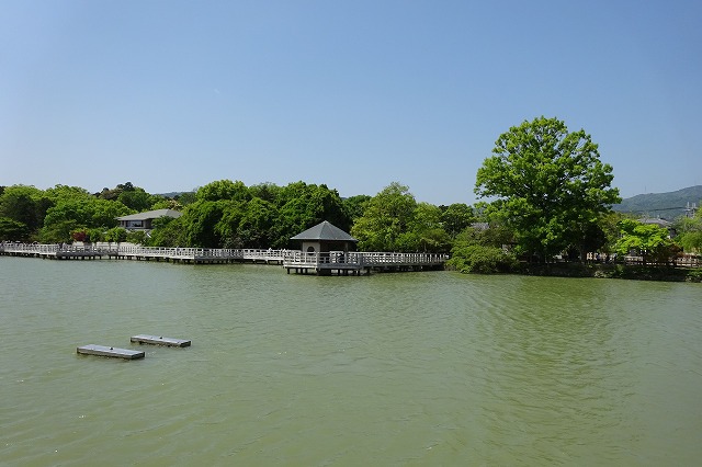 八条ケ池