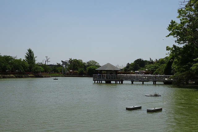 八条ケ池