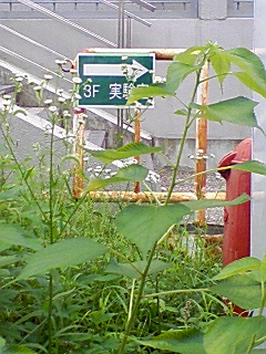 薄氷を踏むような