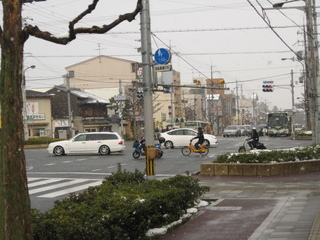 画像を整理してたら