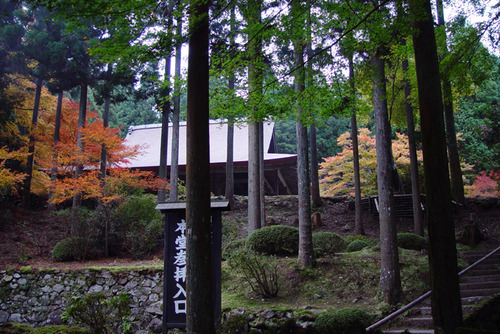 紅葉の大原 来迎院へ・・・
