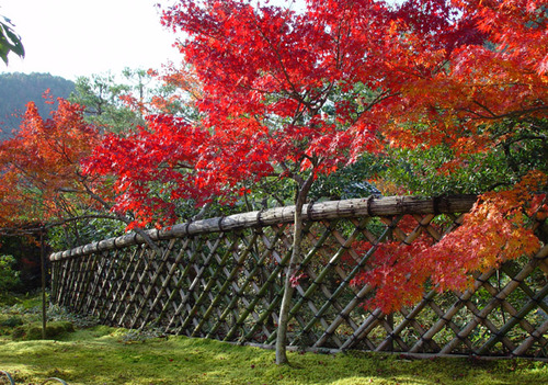 鷹ヶ峰 光悦寺