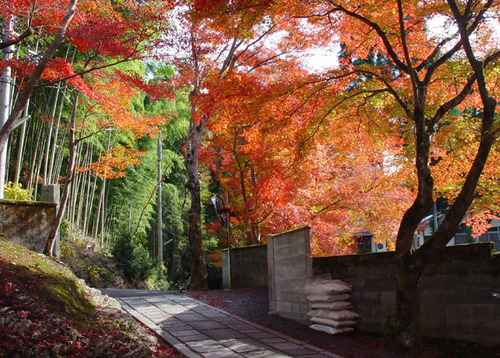 鷹ヶ峰 吟松寺