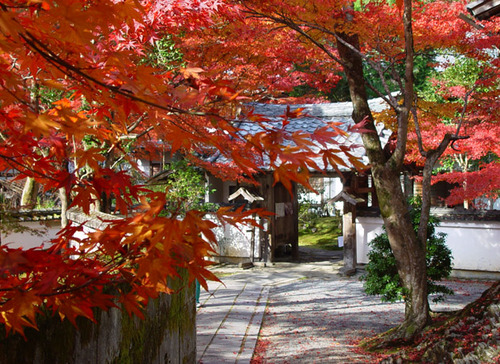 鷹ヶ峰 吟松寺
