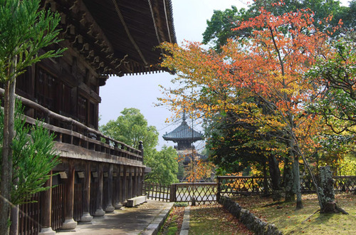 清凉寺(嵯峨釈迦堂)の秋