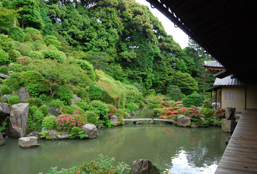 智積院 CMの庭園