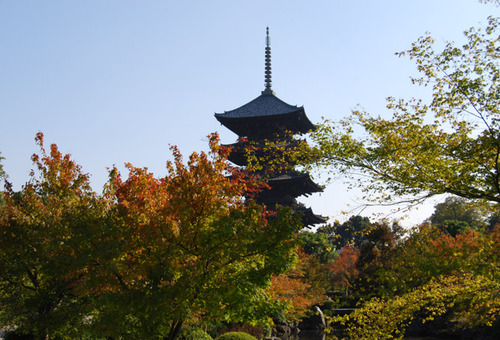 東寺・五重塔の秋