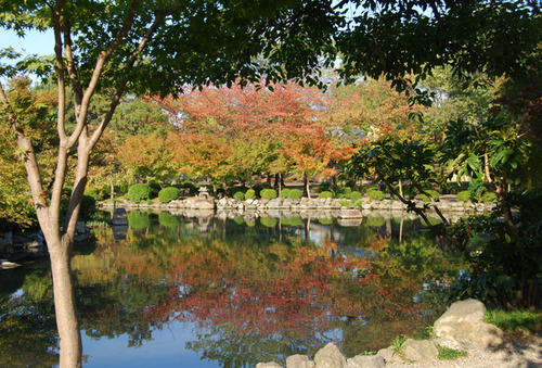 東寺・五重塔の秋