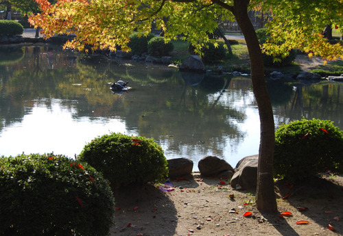 東寺・五重塔の秋