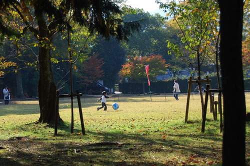 上賀茂神社の秋