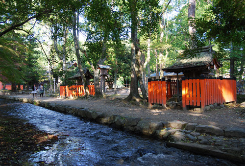 上賀茂神社の秋