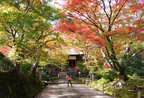 紅葉の常寂光寺