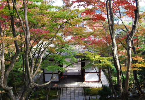 紅葉の常寂光寺