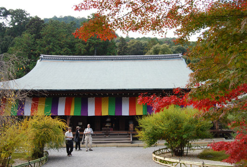 二尊院 紅葉の馬場