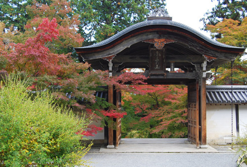 二尊院 紅葉の馬場