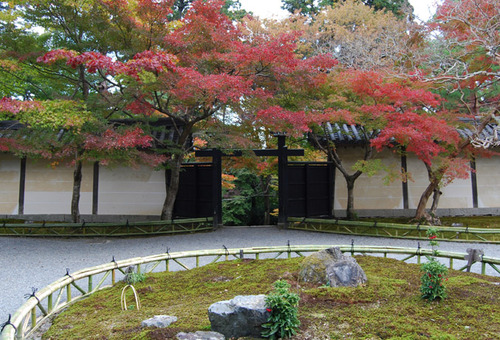 二尊院 紅葉の馬場