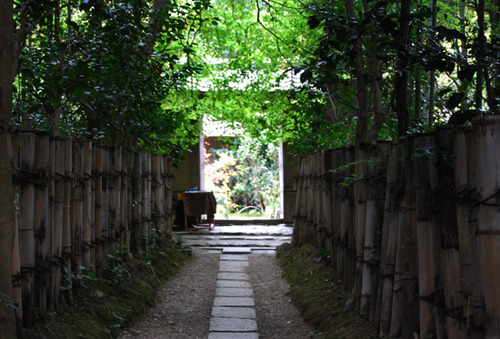 早い紅葉 厭離庵 嵯峨野