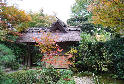 早い紅葉 厭離庵 嵯峨野