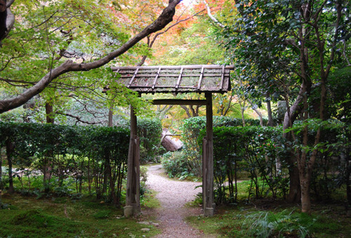 早い紅葉 厭離庵 嵯峨野