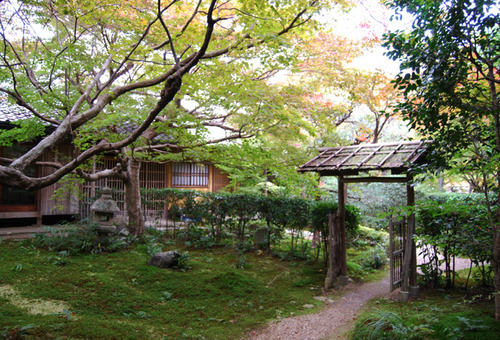早い紅葉 厭離庵 嵯峨野