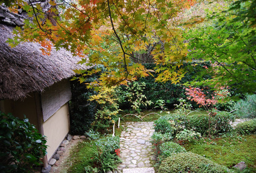 早い紅葉 厭離庵 嵯峨野