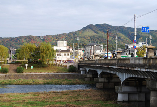 秋色・糺の森 賀茂大橋から