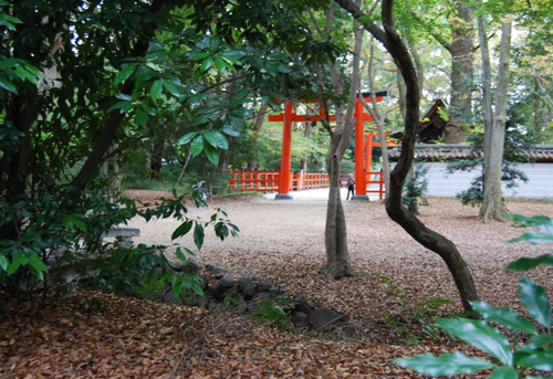 下鴨神社の糺の森