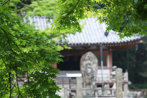 世界遺産 醍醐寺