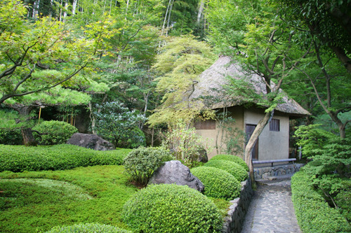 鈴虫寺