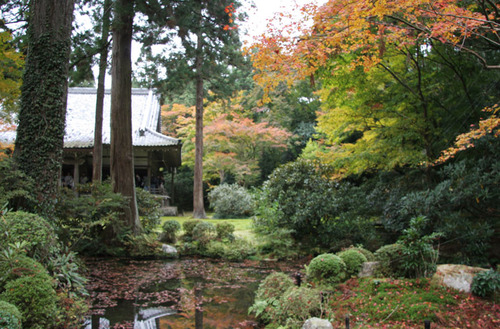 紅葉の大原 三千院