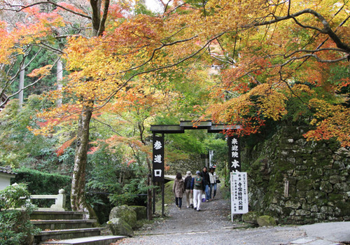 紅葉の大原 来迎院へ・・・